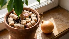 Ich habe die Fliegen in meinem Zwiebel- und Blumenbeet mit einem gewöhnlichen Weinkorken vertrieben (und empfehle Ihnen, dasselbe zu tun – es funktioniert!).